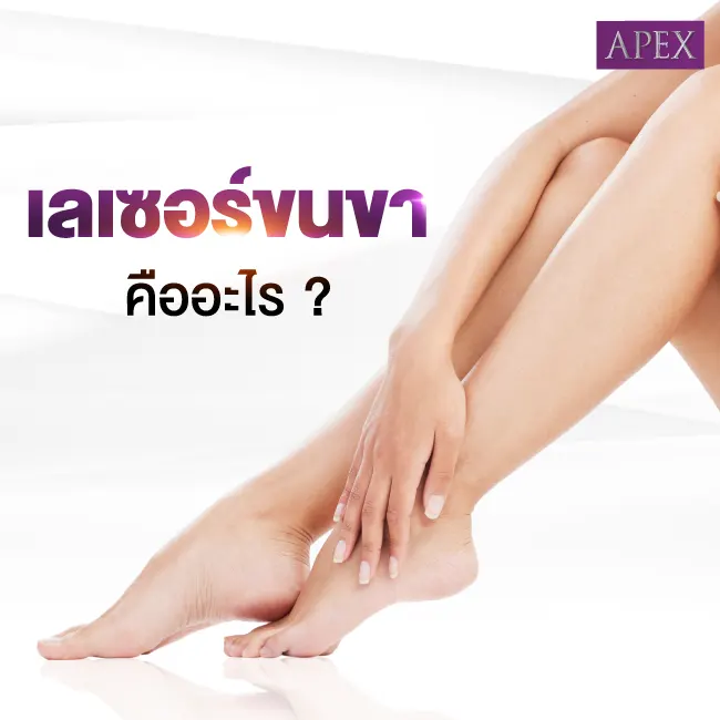 เลเซอร์ขนขา