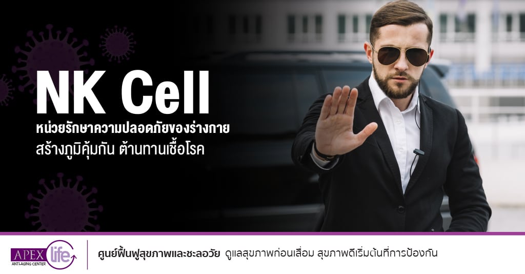 NK Cell
