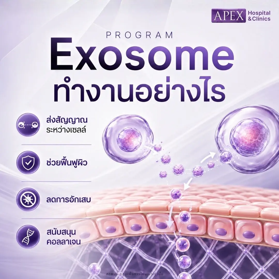 การทำงานของ Exosome