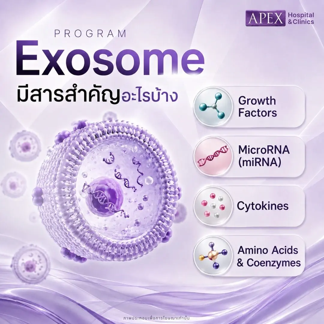 สารประกอบใน Exosome มีอะไรบ้าง