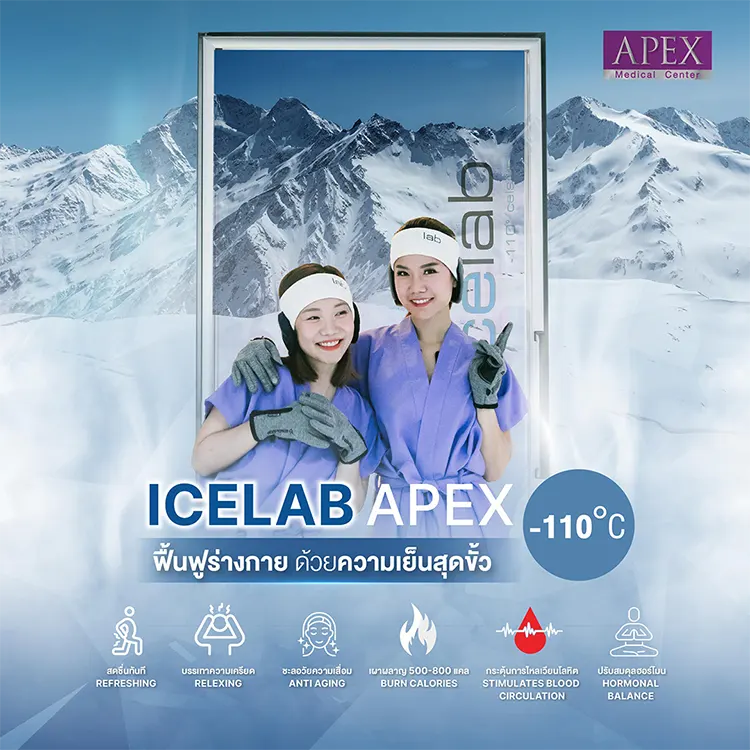 ICELAB ช่วยอะไร