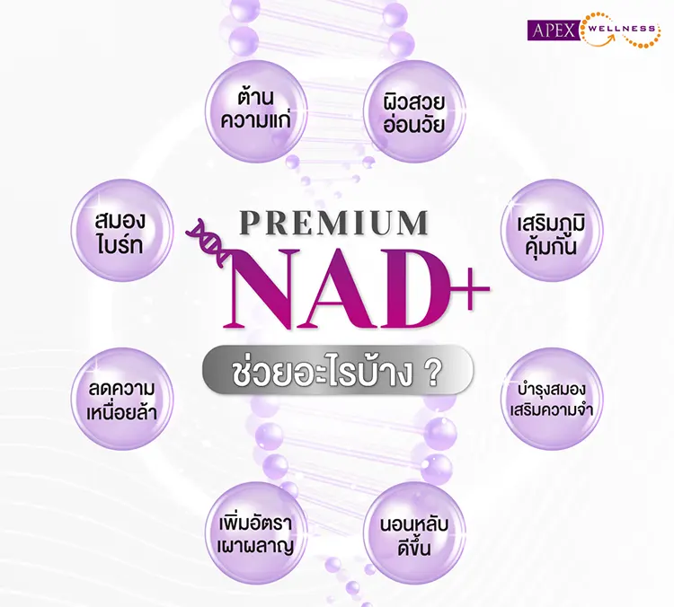 NAD+ Therapy แก้ปัญหาอะไรได้บ้าง