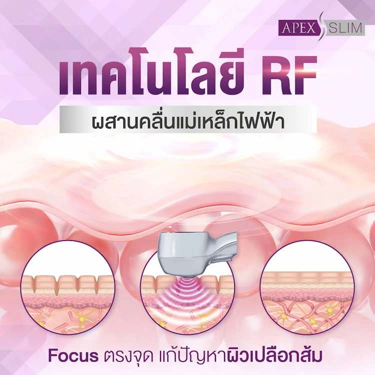 หลักการทำงาน Fit Firm