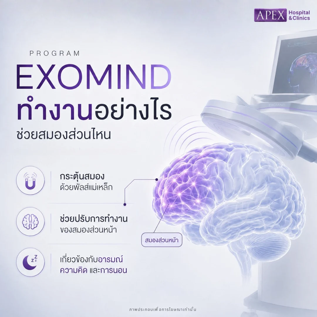 EXOMIND ทำงานอย่างไร