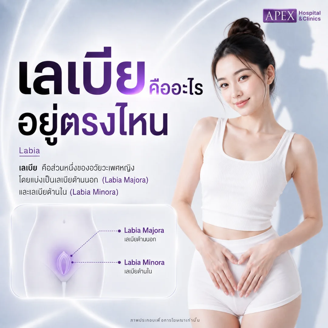 เลเบีย คืออะไร